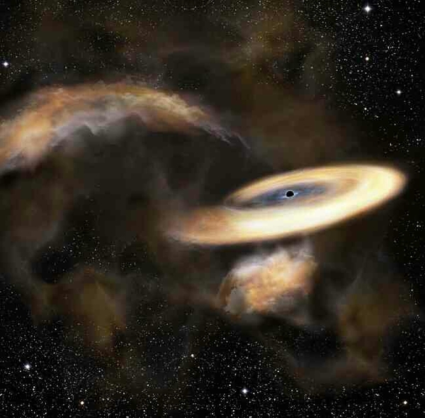 celebrity kp astrologer