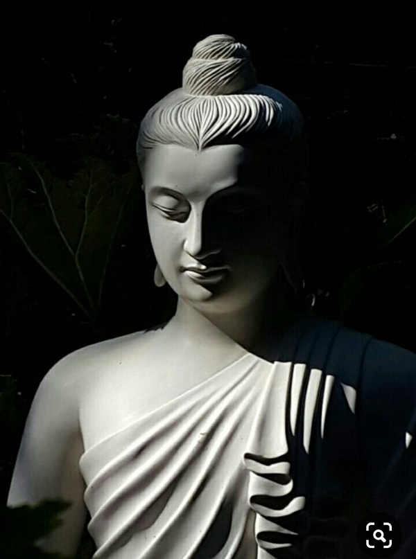numerology palmist face readin