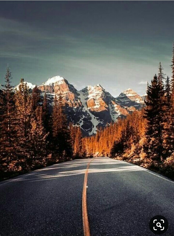 superstar numerology numerolog