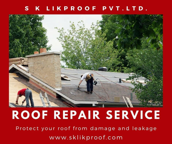 expert solutions