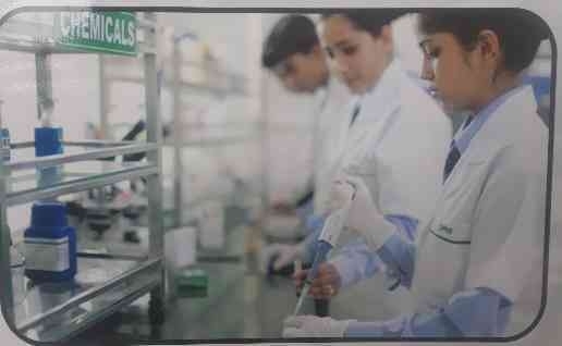 Sankalp Paramedical Colle