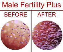 cost effective ivf centre