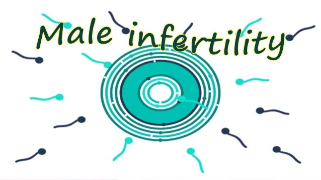 reliable ivf specialist