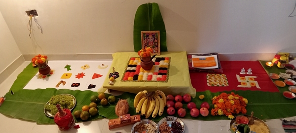 hawan perform hindi pandit