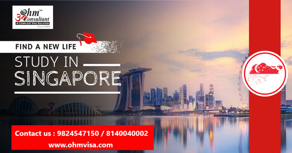 possibility of paid internship