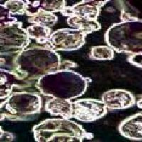 hollow ceramic microsphre