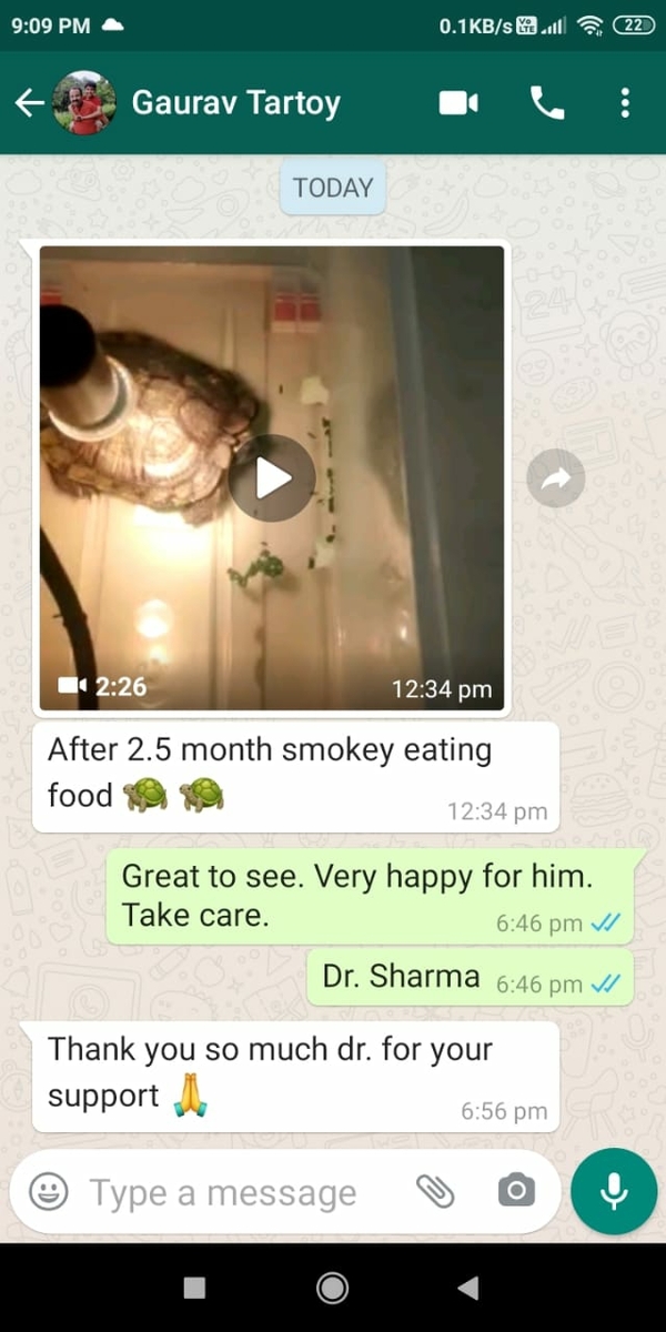 update image