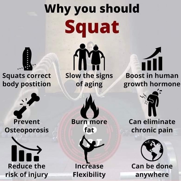 velachery gym