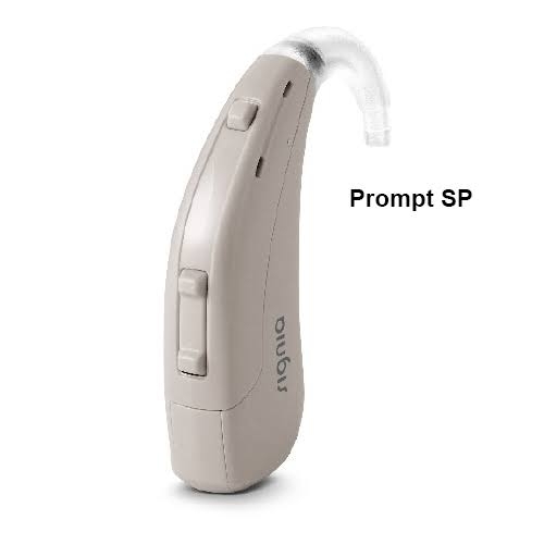 prompt cic