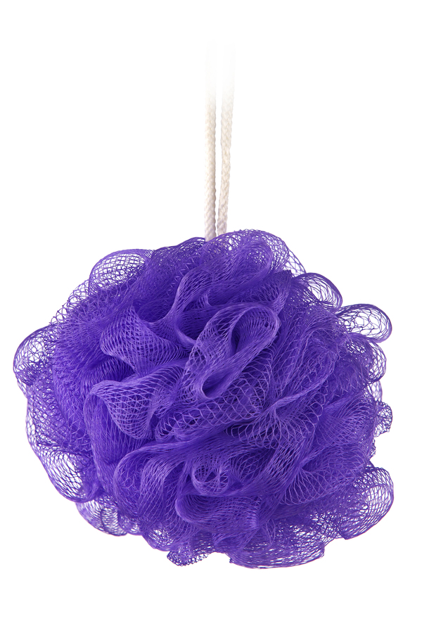 loofah spong