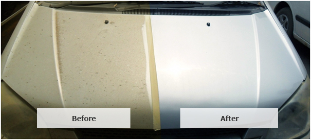 car paint protection films