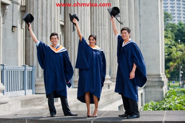 study b sc nursing