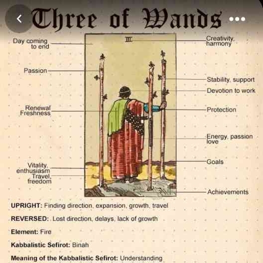 bollywood tarot card reader