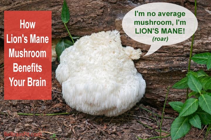 Updates | Dr Mohan Mushrooms 9487076366 in Madurai,Dr.Mohan is a well