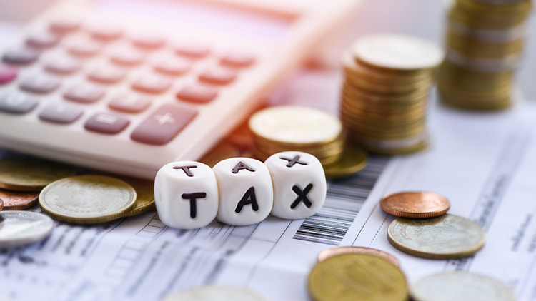 professional tax registration
