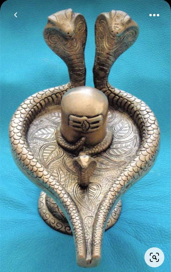 yog astrologer
