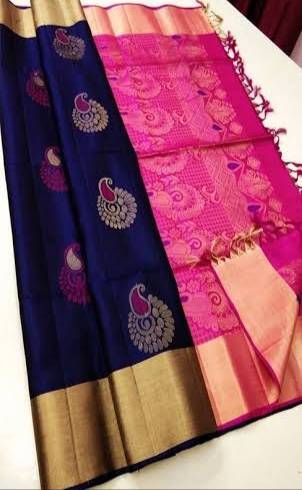 evershine power laundry chandi