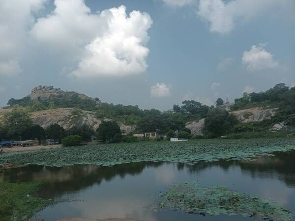 kauleshwari hill kolhua