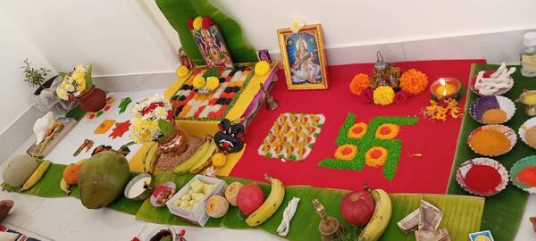 pujas havan ceremony shanti pu