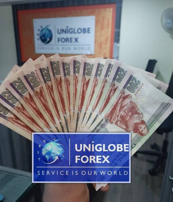 forex dealer