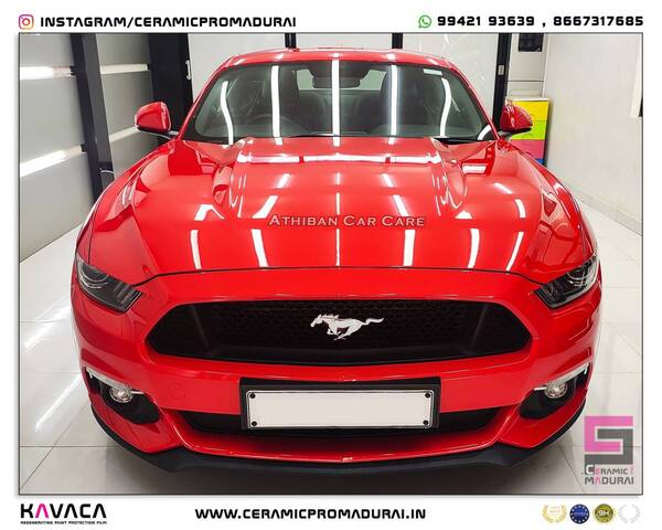 luxurious ford mustang protect