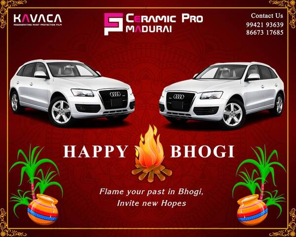 happy pongal messages