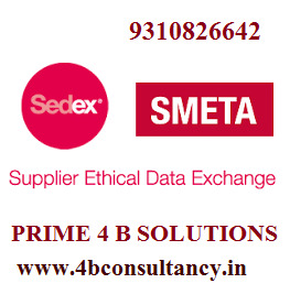 professional competency guidel