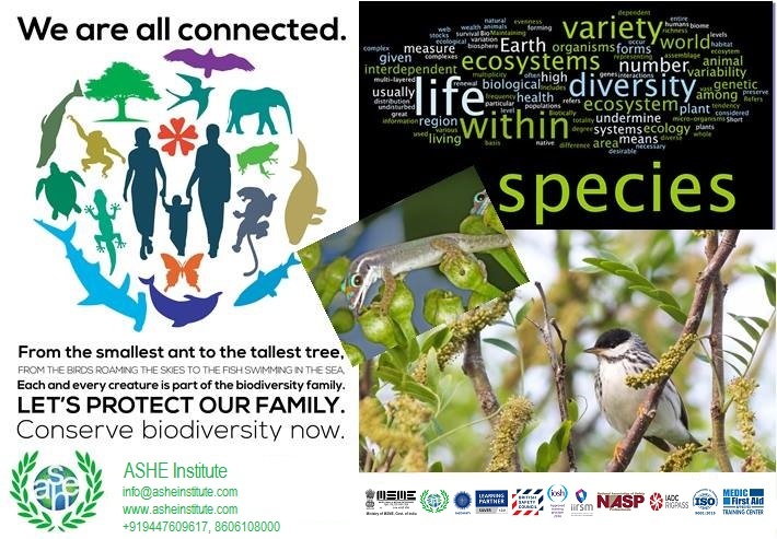 update image not found