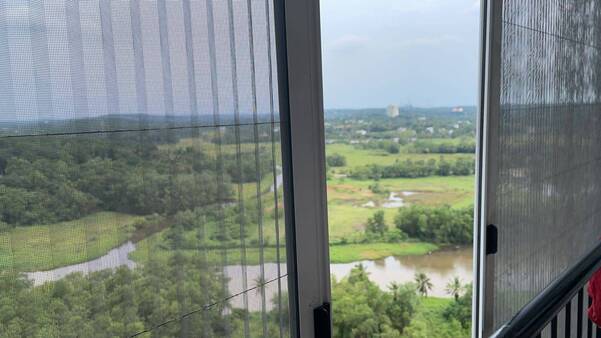 clear view