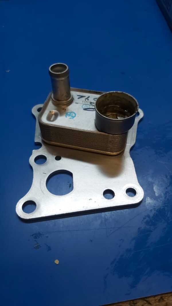 bmw audi mercedes benz jaguar