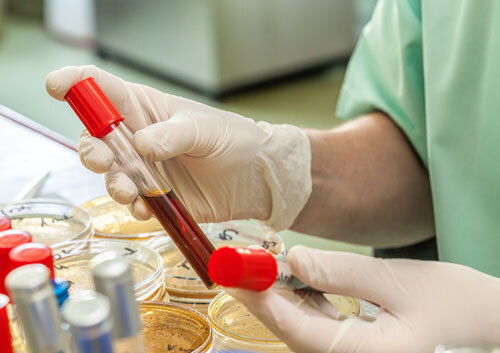 healthcare services