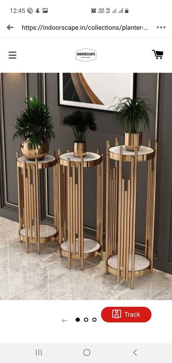 avelable indoor plants