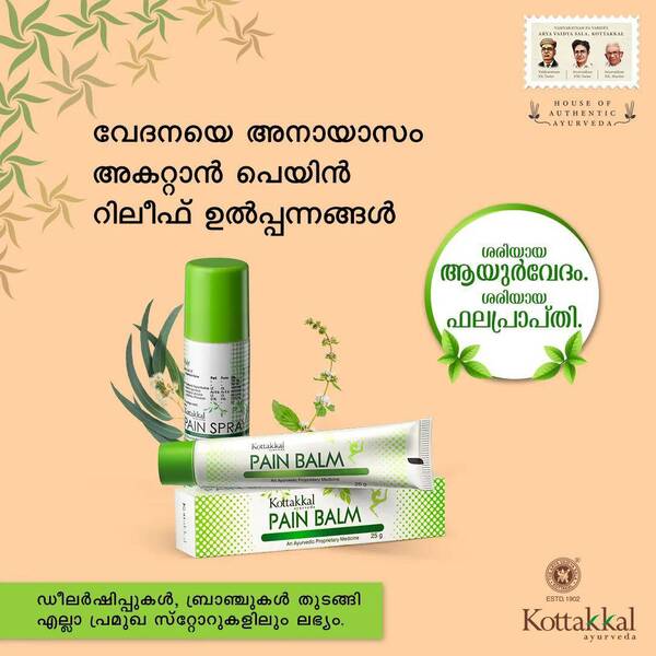 Kottakkal arya vaidya sala Pain Spray, Pain B Kerala Ayurveda Nilayam