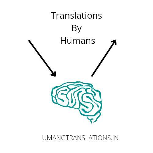 humans