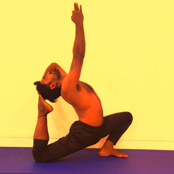 Raja kapotasana