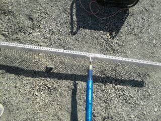 rod supplier exporter trader d