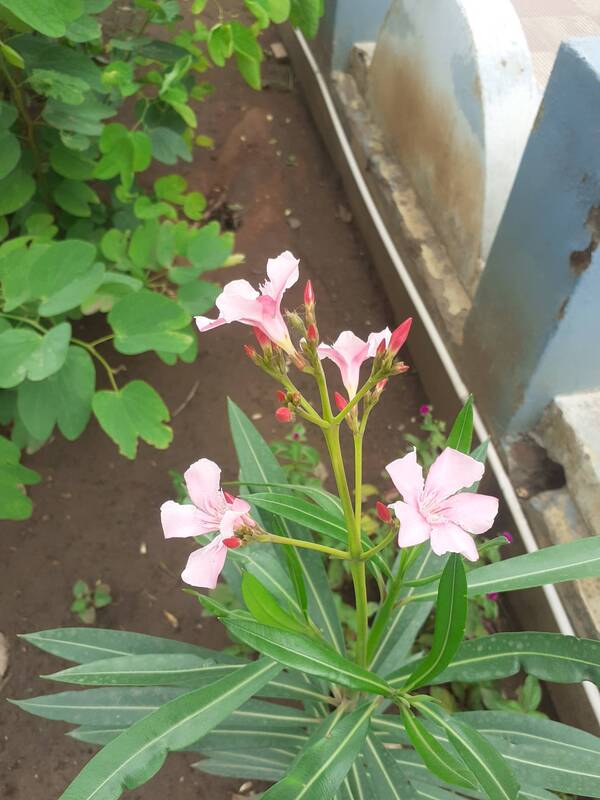 marriage hall services coimbat