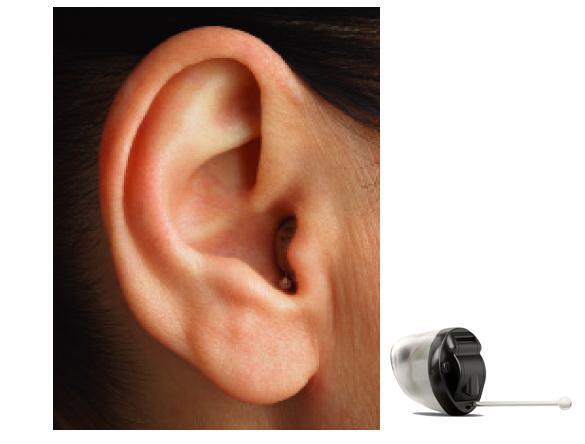 paradise hearing aids