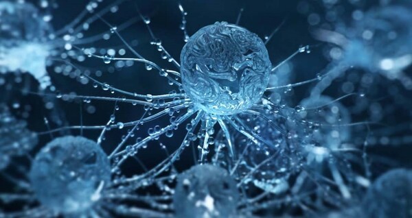 Master Program in FX / Dy