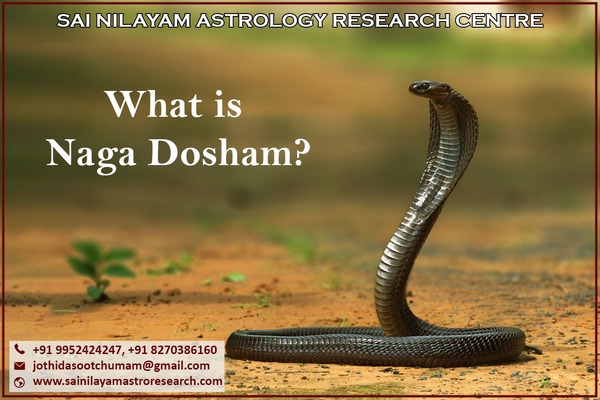 kalasarpa dosha puja