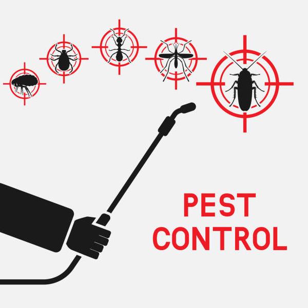 harmful insects