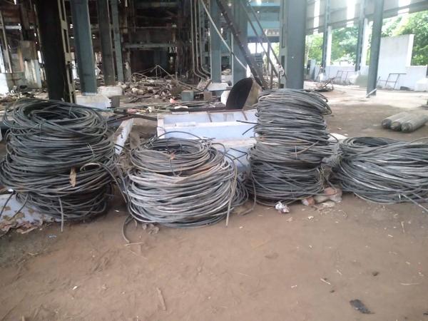 action encourage visitors