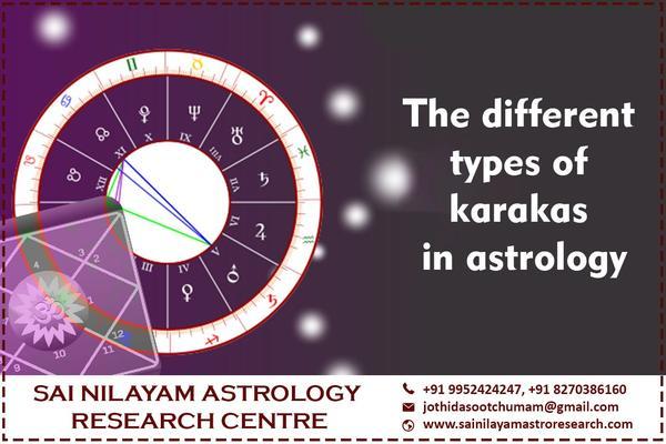 best vastu consultant