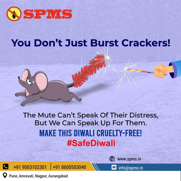 diwali spms