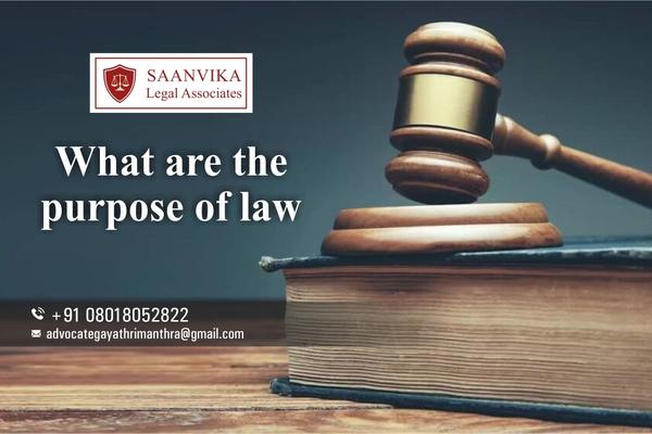 purpose of customs and excise