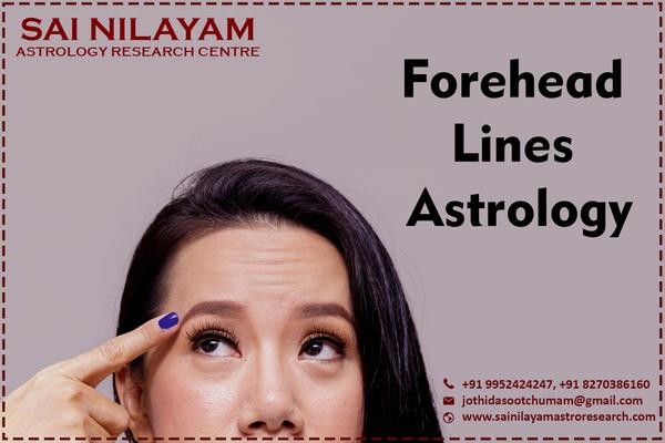 forehead describes different p