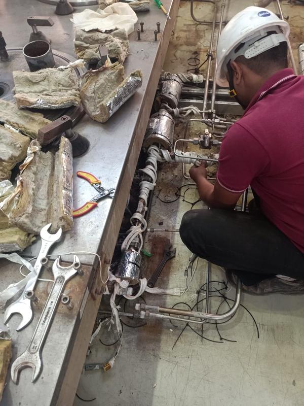 multinational company