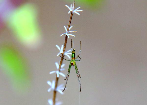 Best photography Instute 