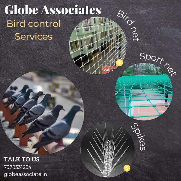residentialbirdnetting