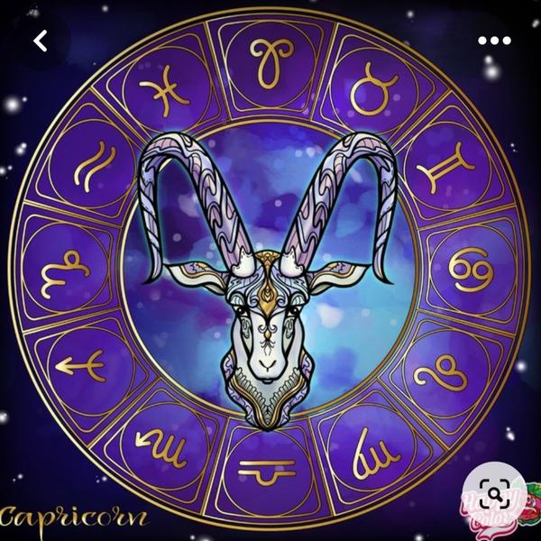 Best astrologer in Mumbai Near